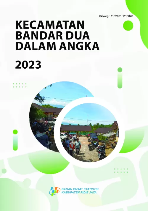 Kecamatan Bandar Dua Dalam Angka 2023